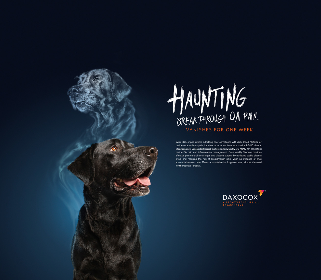 Labrador and ghost tear sheet